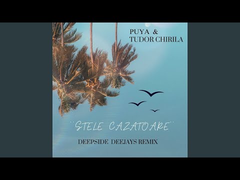 Stele cazatoare (Deepside Deejays Remix)