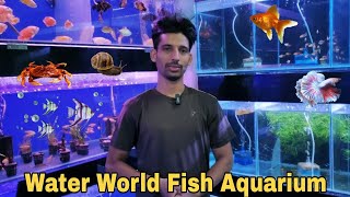 Water World Fish Aquarium | New Stock