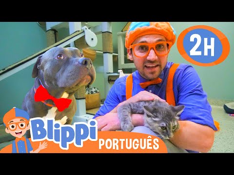 Blippi Visita um Abrigo de Animais! | 2 HORAS DO BLIPPI! | Vídeos Educativos em Português