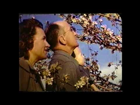 Chazy Orchards Film - 1948