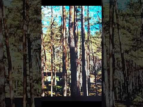 Prioridades pra hoje: