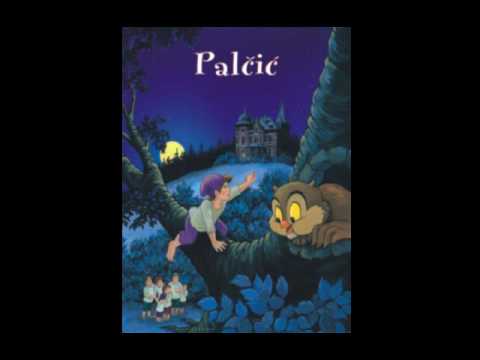 Palcic - Zijah Sokolovic Zike