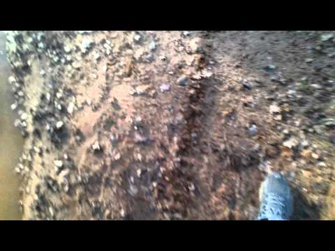 St laurent J-Lebeau nous crépi