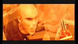 LOCKDOWN PROJECT - EVERYBODY IN THE MORNING