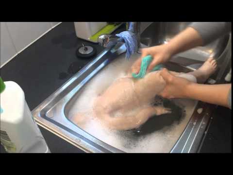 How Our Dolls Are Made