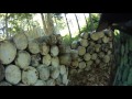 Woodsball Elimination Match At Matt S Outback Paintball