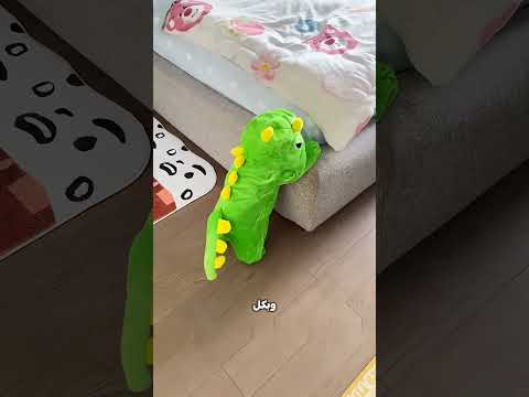 لبّست ابنها زي الكلب… وفجأة اختفى! 😱🐶