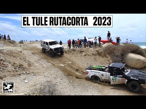 Wildcanyon El Tule Rutacorta 2023 Class 14 Class 7 , Class 29, 18 and 19 thumbnail