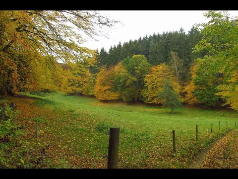 Wanderung um Rengsdorf