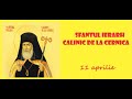 SFANTUL IERARH CALINIC DE LA CERNICA 11 Aprilie