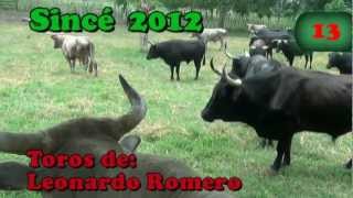 preview picture of video 'Día 13 de Septiembre de 2012 para Sincé y sus fiestas de toros'