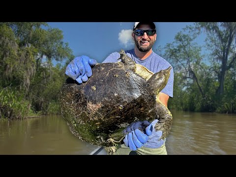 Softshell Turtle Catch and Cook (Turtle Sauce Piquante)
