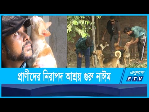 কংক্রিটের নগরে প্রাণীদের নিরাপদ আশ্রয় গড়েছেন গুরু নাঈম