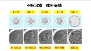 なぜ今、医療者はdoterraを選ぶのか