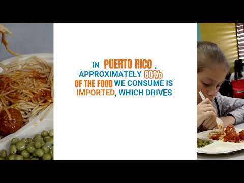 Hot Meals for Great Futures: Help Us Feed Tomorrow