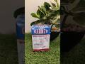 Naphthalene Balls Unboxing Kapoorkigoli Bigbasket Mothballs Shorts