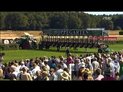 21.07.2013 sportplatz extra Hoppegarten 123. Grosser Preis von Berlin 2013 - Gruppe I 2.400 m