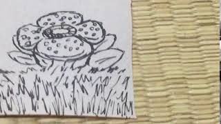 お花コレクション 花言葉歌〔ラフレシア〕