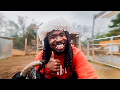 Video thumbnail for Xmas in the stiX