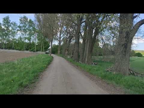 Miniatura filmu