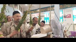 הלל שלם עם הרב דב קוק - א' חוה"מ סוכות תשפ"ג