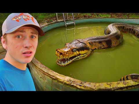 I Found an Abandoned Pond INFESTED with Deadly Snakes!