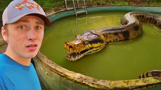 I Found an Abandoned Pond INFESTED with Deadly Snakes!