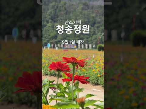 아직 개장 전이지만 이 비주얼 맞나요? 