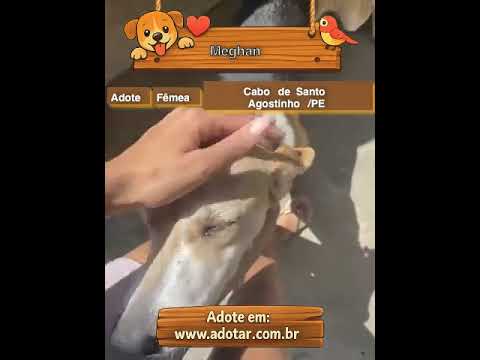 Vídeo de Meghan