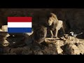 The Lion King 2019 Scar Mufasa Dutch Nederlands