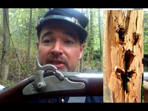 1861 Springfield with .58 minie ball Penetration Test - 1st Minn Sharpshoooters