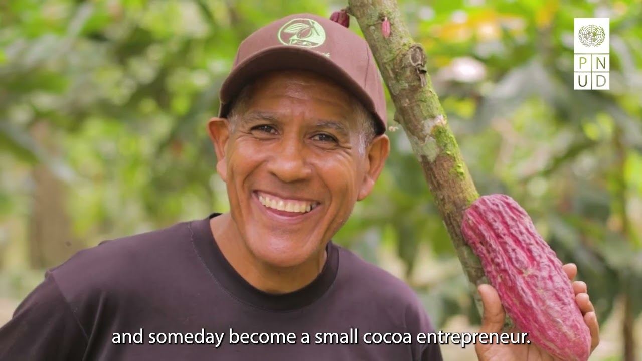 Cocoa sector: Voices from the Suppliers Development Programme (PDP)