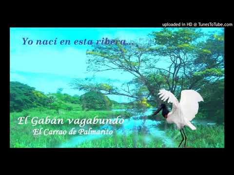 El Gabán Vagabundo - El Carrao de Palmarito