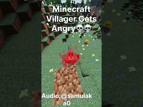 Villager Rage! 😡😱 Watch MelonMC now!