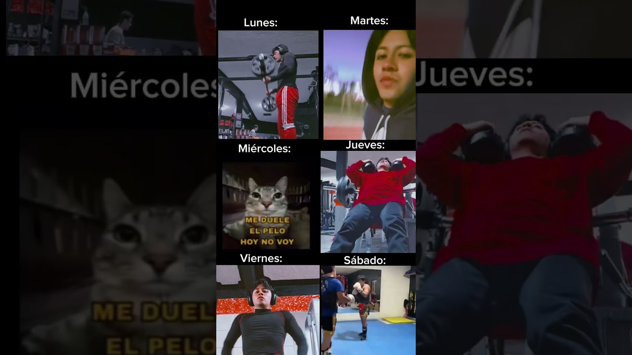 EL MIÉRCOLES ES SAGRADO💪🏻🥵