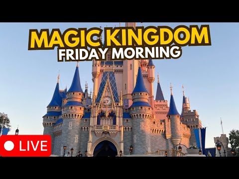 Live webcam of Disney Parks with Love