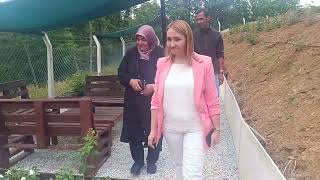 Bilecik'in ilk gül bahçesinde 40 renkte gül yetişiyor