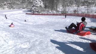 Snow Day in Naperville