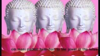 อ สมภพ กล่อมนิทรา ภาวนาก่อนนอน