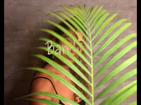 Letón Pé - ¿Pa Qué? ft. Chøby (Official Video)