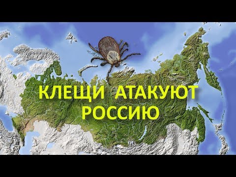 Клещи атакуют Россию