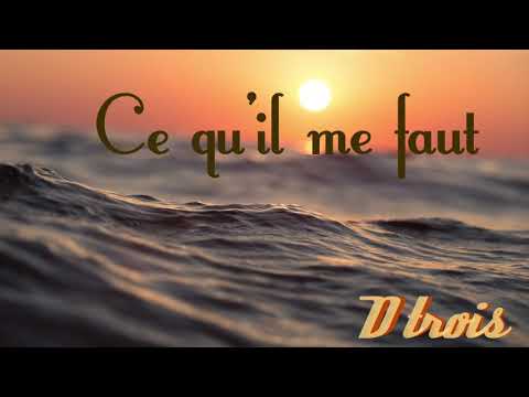 D trois - Ce qu’il me faut