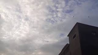 Download lagu 2 jam sp 88 pacul makin mantap respon di sore hari intinya yg punya rbw bisa tersenyum by pacul gwm mp3 Download lagu 2 jam sp 88 pacul makin mantap respon di sore hari intinya yg punya rbw bisa tersenyum by pacul gwm mp3