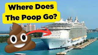 Where Poop Goes On A Cruise Ship