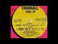 Changall - Wake Up (Pascal Colet Mix) 1996