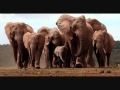 Burning Spear - Elephants