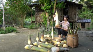 Harvest giant bamboo shoots. Preservation process - Cooking - Sơn Thôn