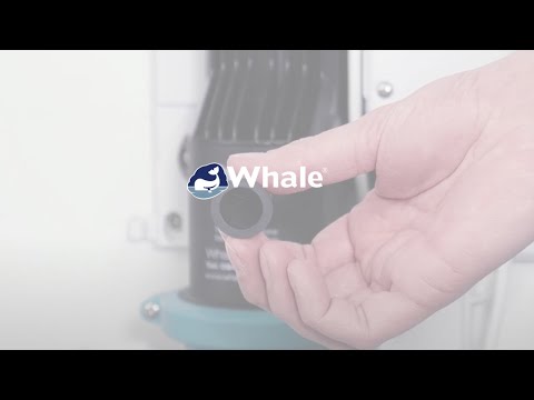 Tricuspid Valve Replacement by Whale