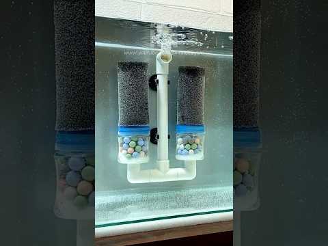 DIY Aquarium Double Sponge Filter That Works Wonders!