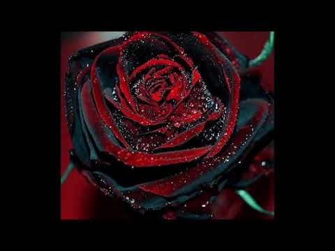 Mark Lower ft. Adeline - Took Me By Surprise ( NervousRecordsNYC)